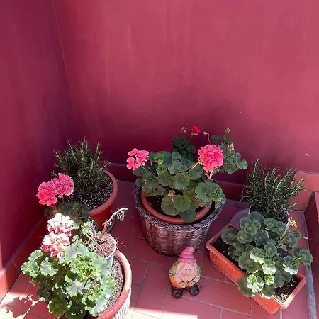 Tuate Rooftop Apartment *